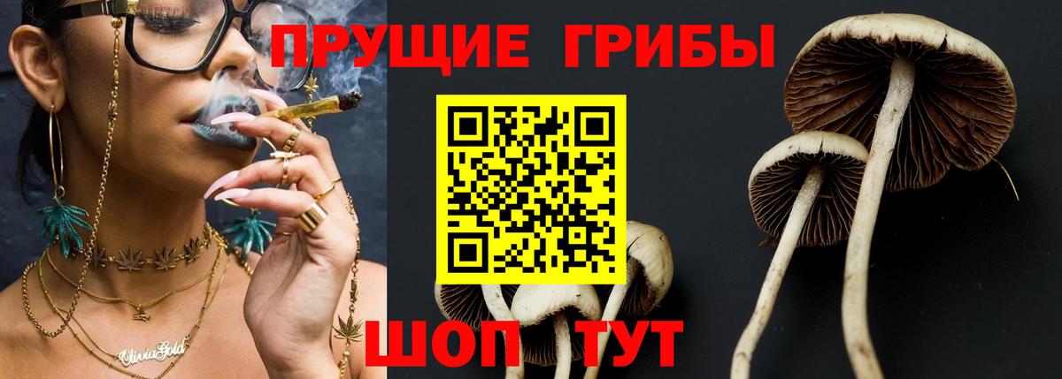 Псилоцибиновые грибы GOLDEN TEACHER Арсеньев